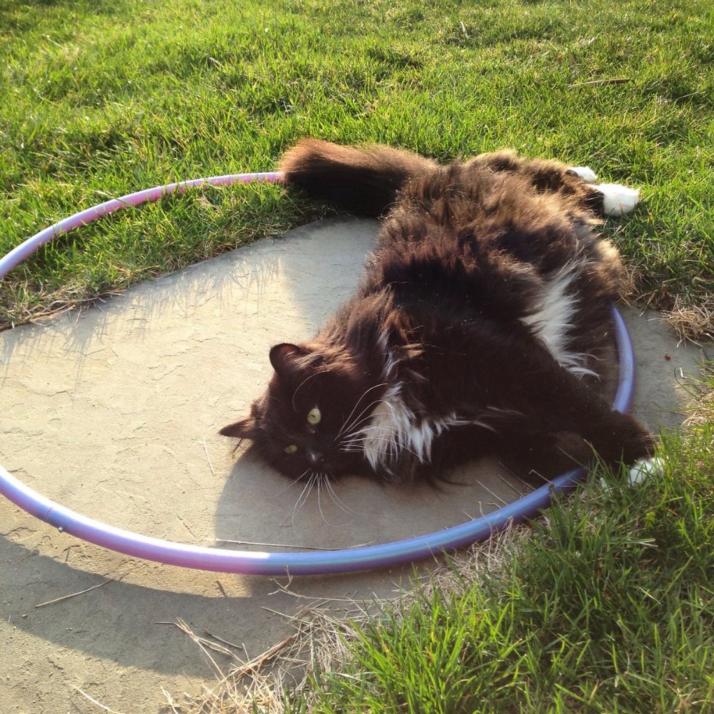 Meet your Posher, Tyler